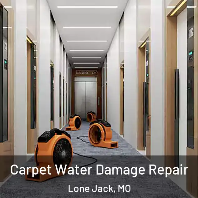  Carpet Water Damage Repair Lone Jack, MO