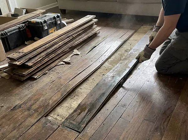 Water Damage Drying in Lone Jack