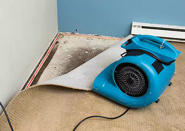 Your Water Damage Experts in Lone Jack, MO