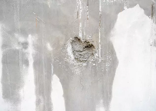 Your Mold Mitigation Solutions Partner in Lone Jack, MO