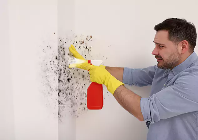 Your Water Mold Fire Restoration Partner in Lone Jack, MO