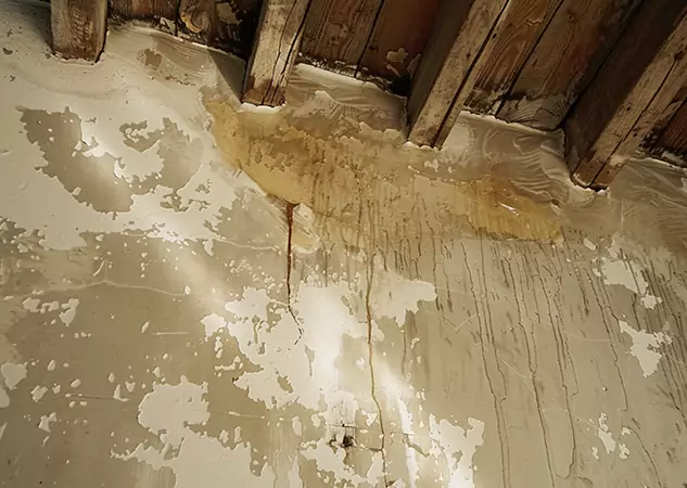 Your Trusted Restoration Company in Lone Jack, MO