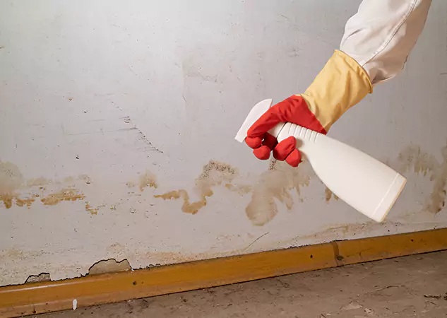 Your Water Restoration and Mold Remediation Specialists in Lone Jack, MO