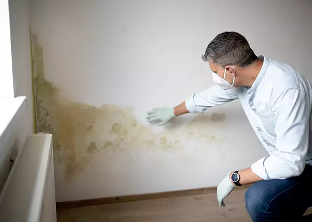 Reach Our Remediation Team Before Damage Grows in Lone Jack, MO!