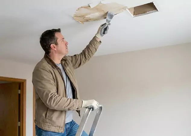 Your Ceiling Damage Repair Experts in Lone Jack, MO