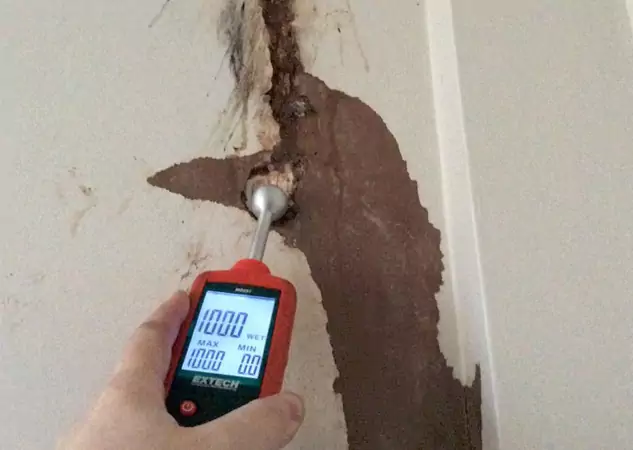 Your Water Damage Assessment Partner in Lone Jack, MO