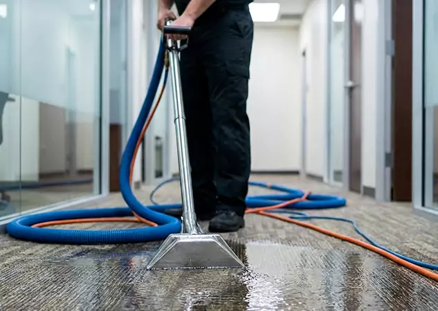 Your Water Damaged Carpet Restoration Partner in Lone Jack, MO