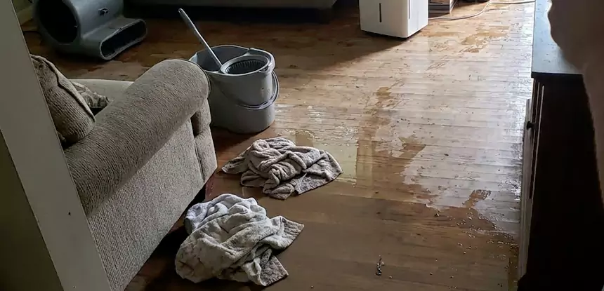 Professional Basement Water Remediation Services in Lone Jack, MO