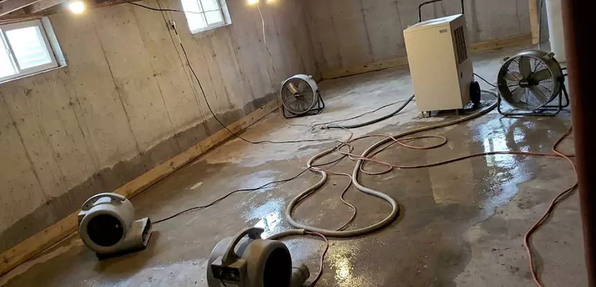Professional Commercial Water Damage Repair Services in Lone Jack, MO