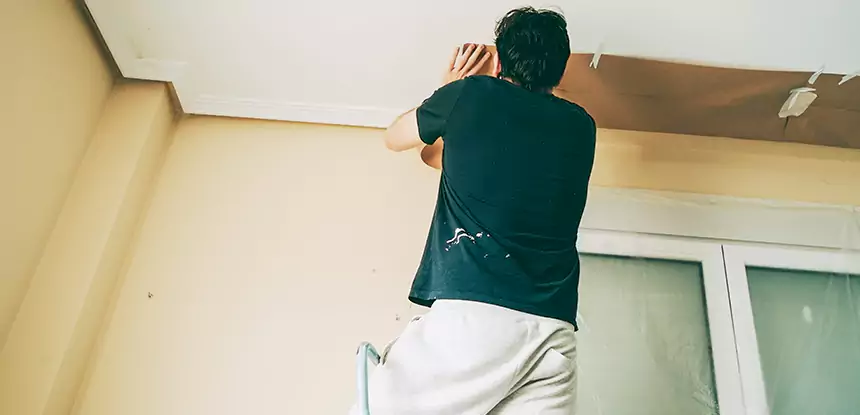 Ceiling Water Damage Repair in Lone Jack