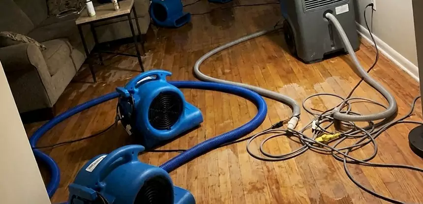 Basement Flood Restoration Services in Lone Jack