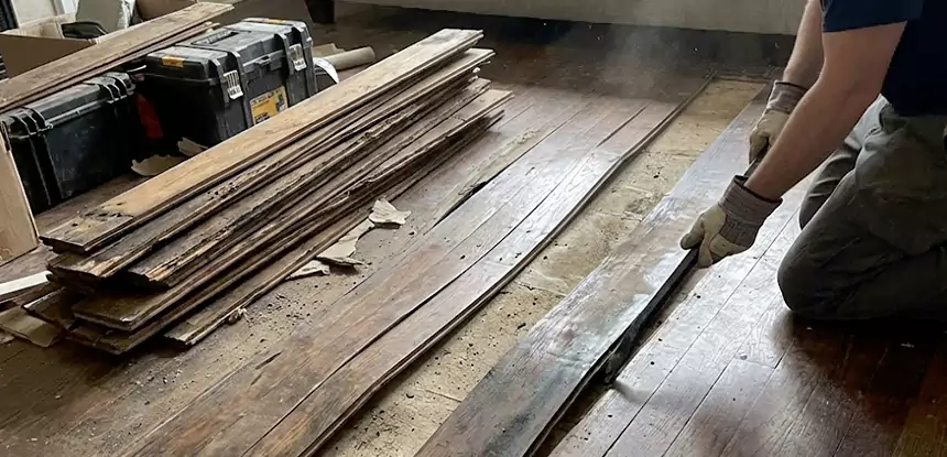 Wood Rot and Fungus Repair in Lone Jack