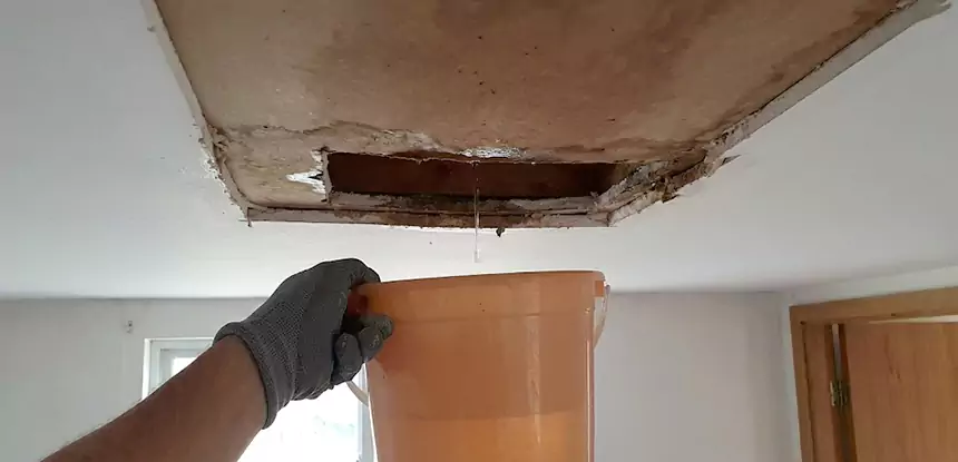 Ceiling Mold Repair Lone Jack 
