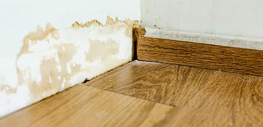 Professional Fix Water Damaged Wood Services in Lone Jack, MO