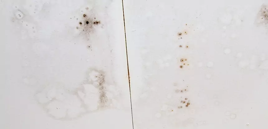 Professional Water Stain Repair Services in Lone Jack, MO