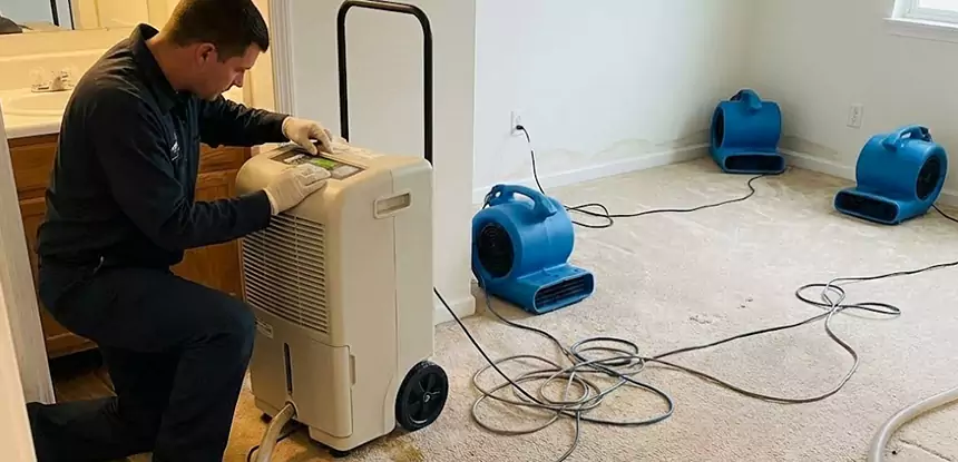 Professional Wet Carpet Removal Services in Lone Jack, MO