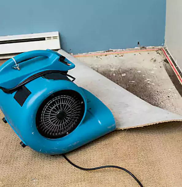 Why Lone Jack Trusts Lone Jack Restoration Pro for Carpet Flood Recovery?