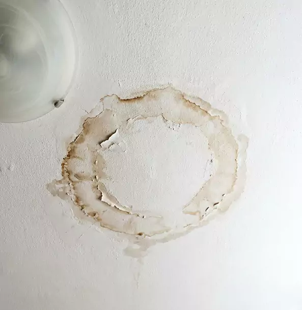 Why Lone Jack Property Owners Choose Lone Jack Restoration Pro for Ceiling Water Damage Restoration?