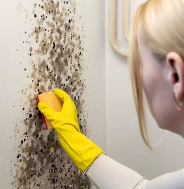 Why Lone Jack Restoration Pro Leads Mold Remediation in Lone Jack?