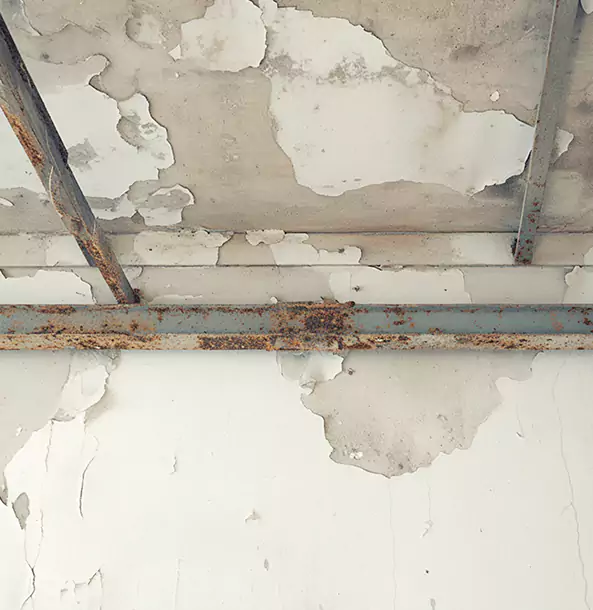 Why Lone Jack Restoration Pro Is the Right Choice in Lone Jack, MO?