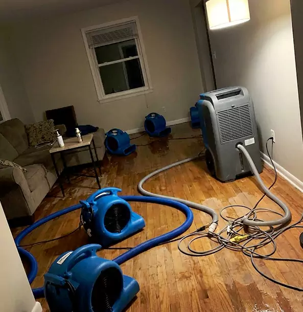 Why Lone Jack Property Owners Rely on Lone Jack Restoration Pro for Remediation?