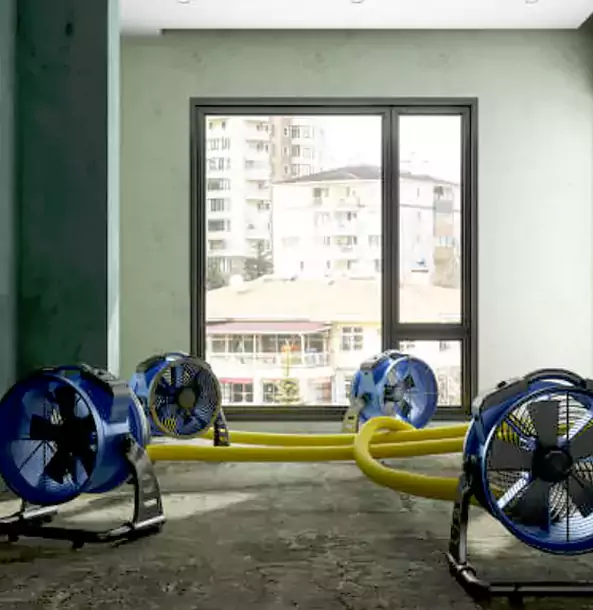 Why Lone Jack Property Owners Trust Lone Jack Restoration Pro for Water Damage Drying?