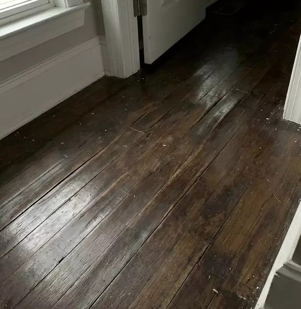 Why Lone Jack Homeowners Trust Lone Jack Restoration Pro to Fix Water Damaged Wood?