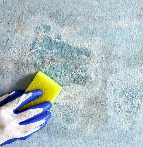 Why Lone Jack Restoration Pro Is the Right Choice in Lone Jack, MO?