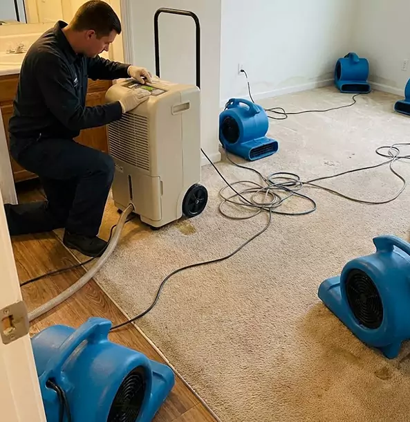 Why Lone Jack Homeowners and Businesses Trust Lone Jack Restoration Pro for Carpet Drying?