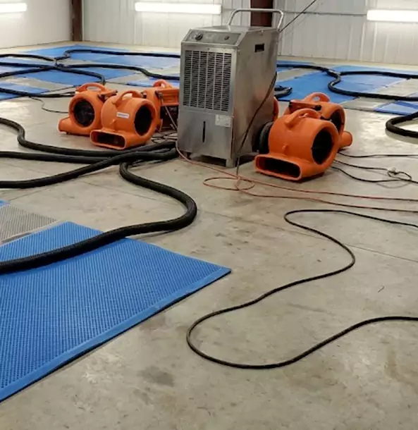 Why Lone Jack Homeowners and Businesses Choose Lone Jack Restoration Pro for Wet Carpet Removal?
