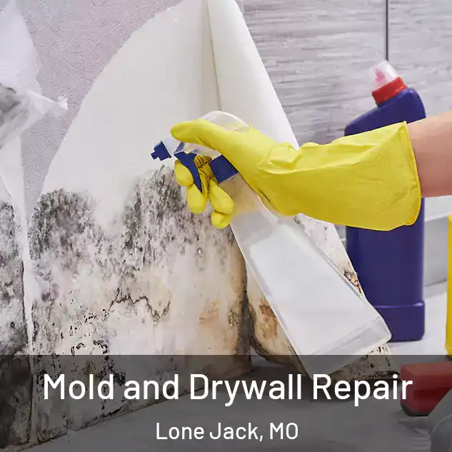  Mold and Drywall Repair Lone Jack, MO
