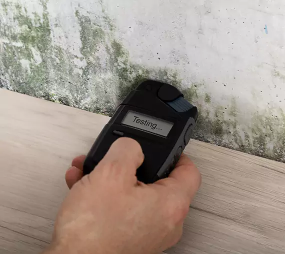 Mold Remediation Service Lone Jack