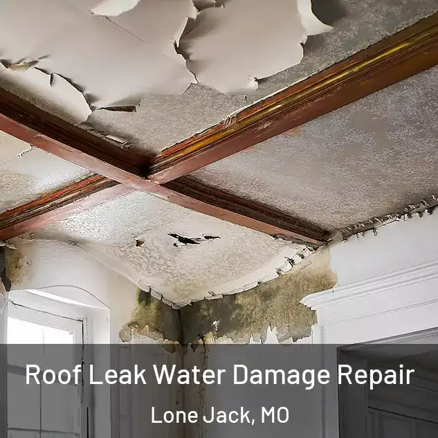  Roof Leak Water Damage Repair Lone Jack, MO