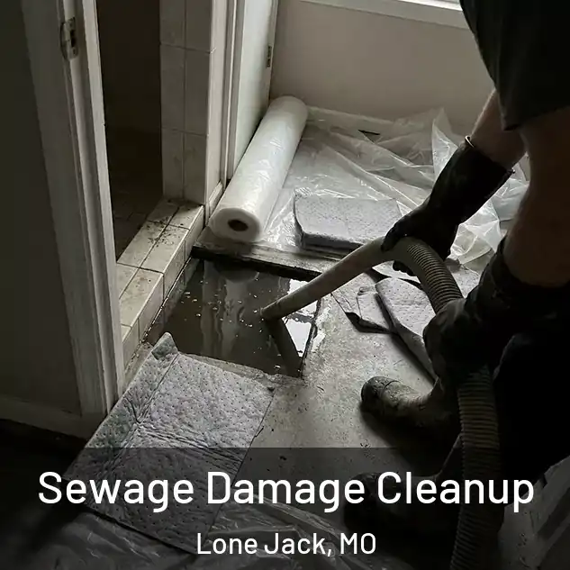  Sewage Damage Cleanup Lone Jack, MO