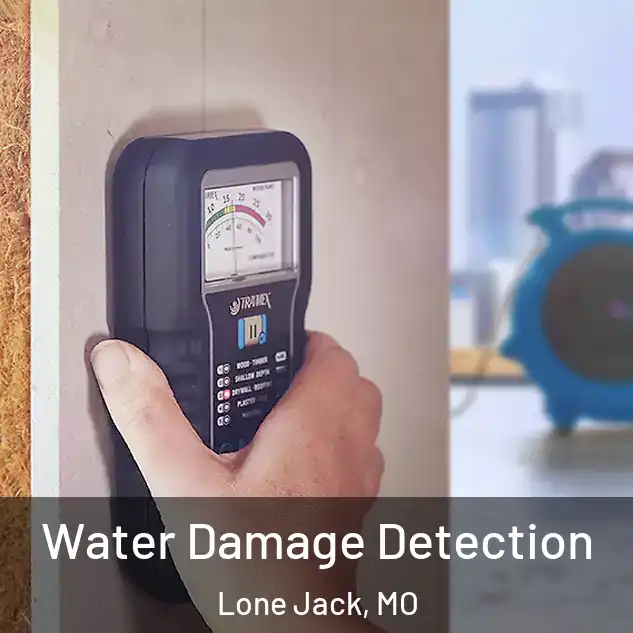  Water Damage Detection Lone Jack, MO