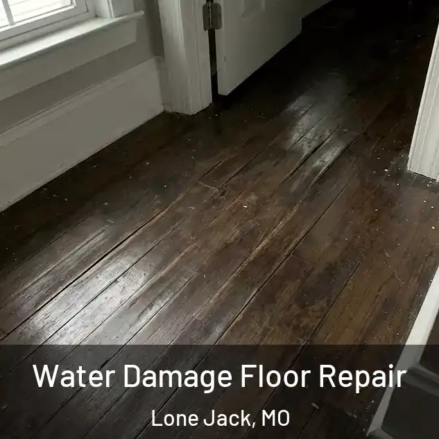 Water Damage Floor Repair Lone Jack, MO