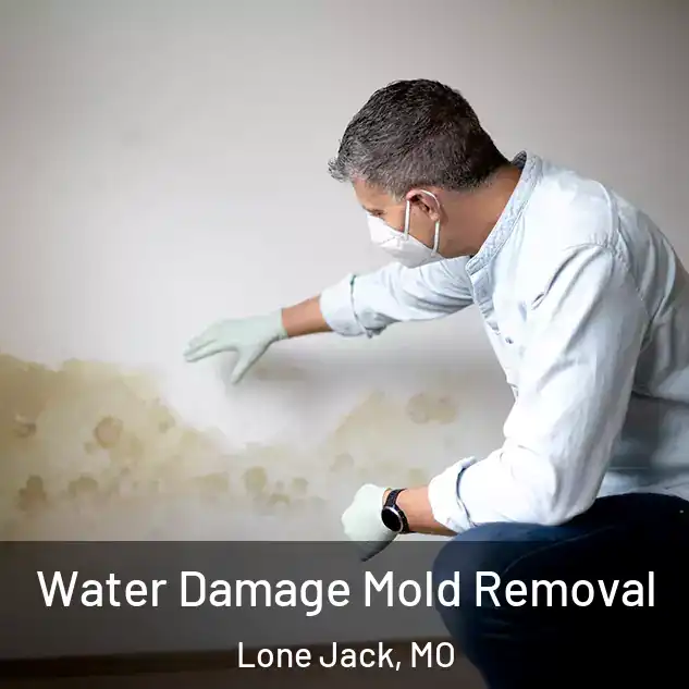 Water Damage Mold Removal Lone Jack, MO