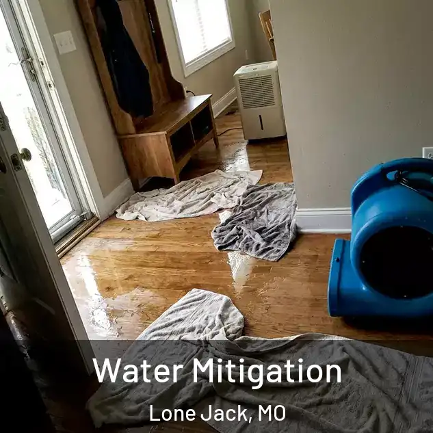  Water Mitigation Lone Jack, MO