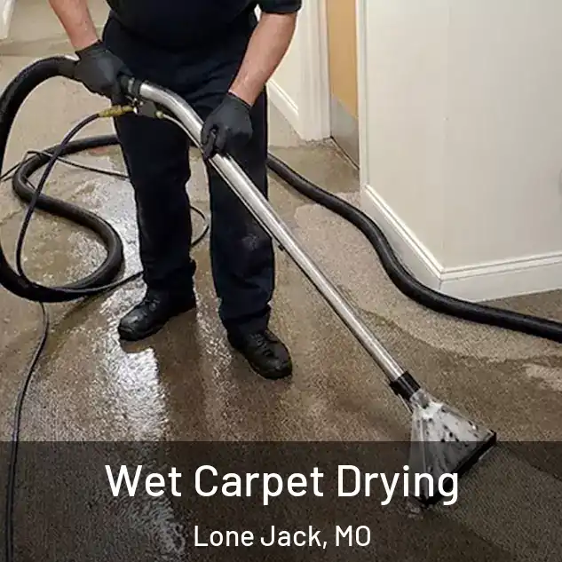  Wet Carpet Drying Lone Jack, MO