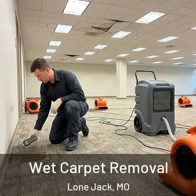  Wet Carpet Removal Lone Jack, MO